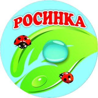 Муниципальное казённое дошкольное образовательное учреждение общеразвивающего вида «Детский сад №35 «Росинка»